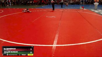 65 lbs Semis (4 Team) - Walker Bungum, K-M vs RJ Timmerman, St. Peter