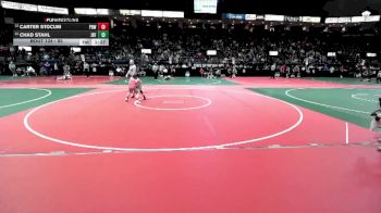 85 lbs Champ. Round 1 - Chad Stahl, JRF1 vs Carter Stocum, PRW1