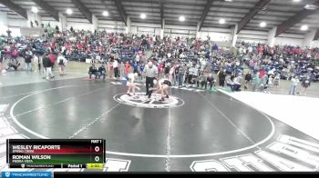 132 lbs Champ. Round 1 - Wesley Ricaporte, Spring Creek vs Roman Wilson, Piedra Vista