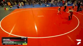 95 lbs Quarterfinal - Charlie Loftus, STMA (St. Michael/Albertville) vs Levi Popp, Royalton-Upsala