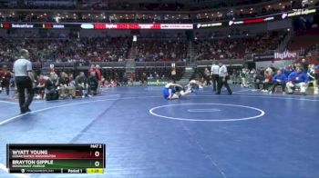 3A-190 lbs Cons. Round 2 - Wyatt Young, Cedar Rapids Washington vs Brayton Gipple, Bondurant-Farrar