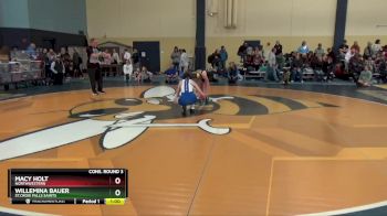 100 lbs Cons. Round 3 - Macy Holt, Northwestern vs Willemina Bauer, St.Croix Falls Saints