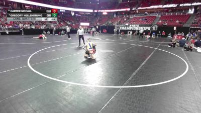 113 lbs Cons. Quarters - Carter McCall, Elkhart Lk.-Glen/Howards G vs Gregory Hellendrung, Chilton/Hilbert
