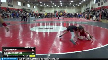 85 lbs Champ. Round 1 - Tj Richardson, Summit Wrestling Academy vs Gabriel Zimmerman, Pursuit