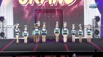 Chaos by Arizona Element - Black Gold [2023 L1 Youth 1] 2023 The American Grand - Grand Nationals