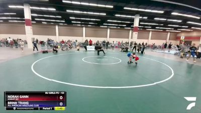 43 lbs Round 1 - Norah Gann, Haslet WC vs Brinh Trang, All American Wrestling Club