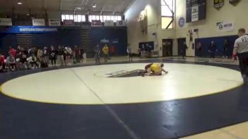 125 lbs Quarterfinal - Jacob Dunlop, Gannon vs Jerry Echevarria, American Int`l