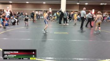 82 lbs Round 2 - Brighton Prine, Ohio Gold vs Joe Gaffigan, DeHart Academy