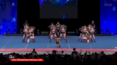 JLDC - Cats [2025 L5 International Open Small Coed Semis] 2025 The Cheerleading Worlds