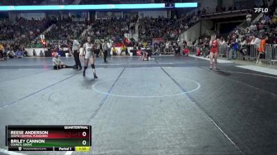 119 lbs Quarterfinal - Reese Anderson, South Central Punishers vs Briley Cannon, Council Grove