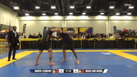 Michael Sante Medina vs Andrew J Leshovsky 2024 World IBJJF Jiu-Jitsu No-Gi Championship