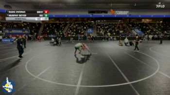 165 lbs Semifinal - Radic Dvorak, Huntley vs Murphy Beyer, Freedom