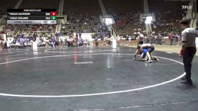 5A 165 lbs Cons. Round 1 - Noah Jackson, Elberta HS vs Cole Collier, Valley High School