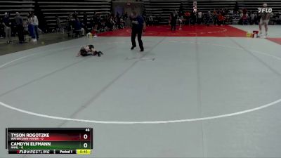 45 lbs Placement (4 Team) - Tyson Rogotzke, Watertown-Mayer vs Camdyn Elfmann, ANML