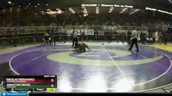 3A 138 lbs Quarterfinal - Sebastian Deara, Ferguson vs Nikolas Hernandez, Riverview (Riverview)