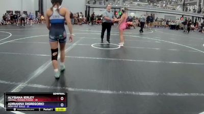 107 lbs Semis (4 Team) - Alysiana Ierley, Central Pennies Power vs Adrianna Digregorio, MGW Lost Souls