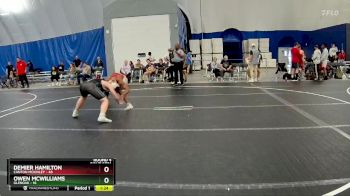 157 lbs Round 4 - Demier Hamilton, Canton McKinley vs Owen McWilliams, GlenOak