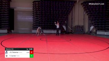 149 lbs Round Of 16 - Ty'Rae Carter, Texas A&M vs Bryce Palamar, Penn State Mont Alto