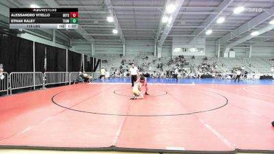 119 lbs Rr Rnd 3 - Alessandro Vitello, Team Gotcha vs Ethan Raley, Team RJN Green