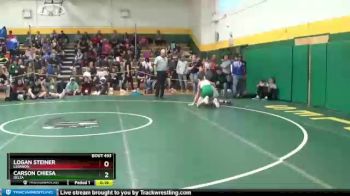 126 lbs Cons. Round 4 - Carson Chiesa, DELTA vs Logan Steiner, LEBANON