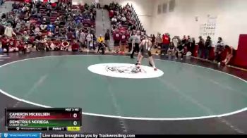 120 lbs Champ. Round 2 - Demetrius Noriega, Lander Valley vs Cameron Mickelsen, Star Valley