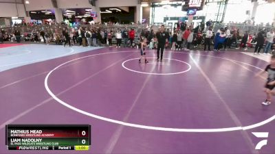 48 lbs Champ. Round 1 - Mathius Mead, Boneyard Wrestling Academy vs Liam Nadolny, El Paso Wildcats Wrestling Club
