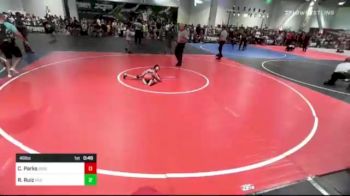 46 lbs Quarterfinal - Carter Parks, Brighton WC vs Rocky Ruiz, Red Wave