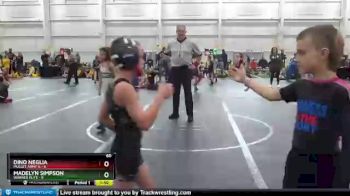 60 lbs Round 5 (8 Team) - Dino Neglia, Mullet Army N vs Madelyn Simpson, Warner Elite