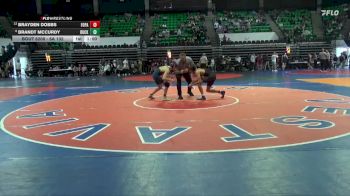 6A 132 lbs Cons. Round 2 - Brandt Mccurdy, Buckhorn vs Brayden Dobbs, Fort Payne