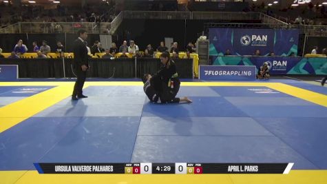 April L. Parks vs Ursula Valverde Palhares 2025 Pan Jiu Jitsu IBJJF Championship