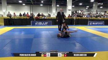 Pedro Sales De Araujo vs Nelson James Cox 2026 American National IBJJF Jiu-Jitsu Championship