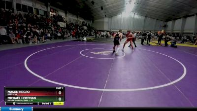 190 lbs 2nd Wrestleback And Semi-finals(16 Team) - Michael Hoffman, Keller Timber Creek vs Mason Negro, Katy