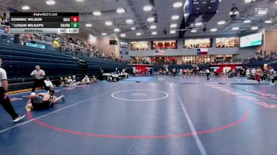 150 lbs Semifinal - Logan Milsaps, CW College Park vs Dominic Wilson, Rockwall