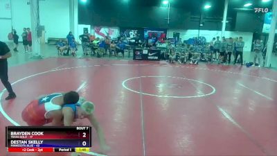 165 lbs Semis & 1st Wrestleback (8 Team) - Brayden Cook, Texas Gold vs Destan Skelly, Minnesota Blue