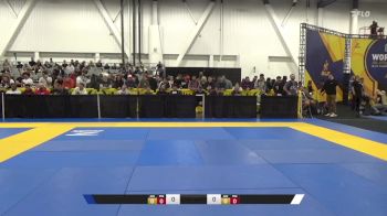 Shilo Pualani Wilson vs Nicole Catherine Zannelli 2024 World IBJJF Jiu-Jitsu No-Gi Championship