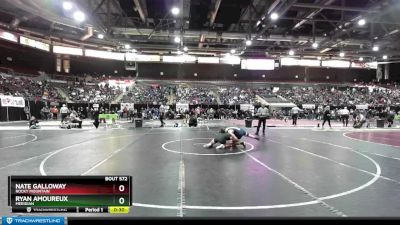 132 lbs Cons. Round 1 - Nate Galloway, Rocky Mountain vs Ryan Amoureux, Meridian