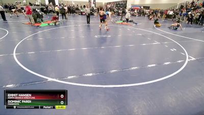 165 lbs Cons. Round 2 - Emmit Hansen, North Branch Wrestling vs Dominic Pardi, Minnesota