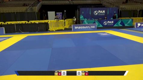 Ryan Gregory Hopkins vs Nicolas Alexander Stebar 2025 Pan Jiu Jitsu IBJJF Championship