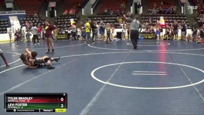 100 lbs Round 3 (4 Team) - Tyler Bradley, Metro All Stars vs Levi Foster, MI Pitbulls