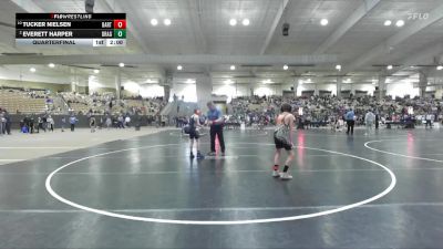 75 lbs Quarterfinal - Tucker Nielsen, Clinton Dragon Youth Wrestling vs Everett Harper, Williamson Co Wrestling Club