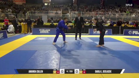Darla L. Sedlacek vs Amanda Cullen 2025 Pan Jiu Jitsu IBJJF Championship