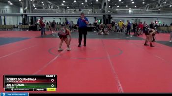 120 lbs Round 3 (4 Team) - Robert Douangmala, Team Gotcha vs Joe Sprague, Seagull