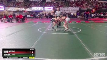 A - 113 lbs Quarterfinal - Corbin Long, Frenchtown vs Cale Nedens, Hardin