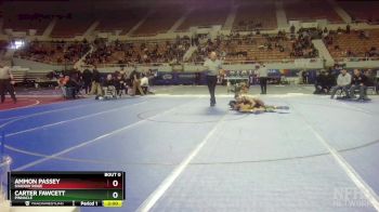 D1-150 lbs Champ. Round 1 - Ammon Passey, Shadow Ridge vs Carter Fawcett, Pinnacle