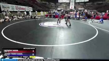 220 lbs Placement Matches (16 Team) - Anthony Nixon, SJWA vs Jayden Tadeo-Gasol, MDWA