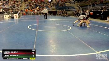 250 lbs Cons. Round 1 - Jacey Peterson, Mandan vs Jersey Daniele, Bismarck