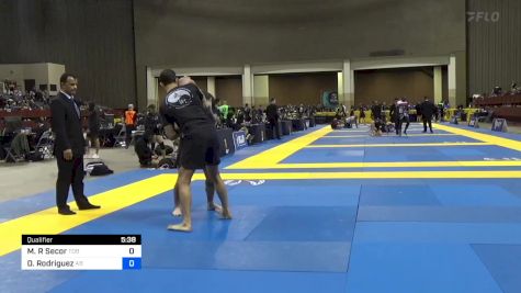 Matthew R Secor vs David Rodriguez 2024 Pan IBJJF Jiu-Jitsu No-Gi Championship