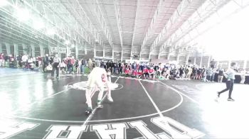 113 lbs Champ. Round 1 - Daxton Hart, Springville vs Dayson Fenner, Davis