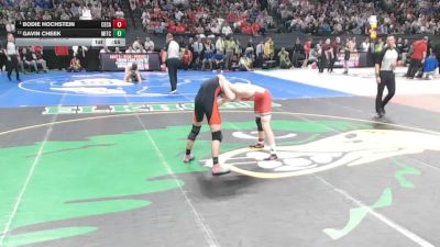 Semifinal - Bodie Hochstein, Cedar Catholic vs Gavin Cheek, Mitchell