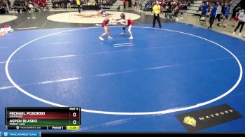 113 lbs Champ. Round 1 - Michael Posorski, Kaukauna vs Aspen Blasko, Forest Lake